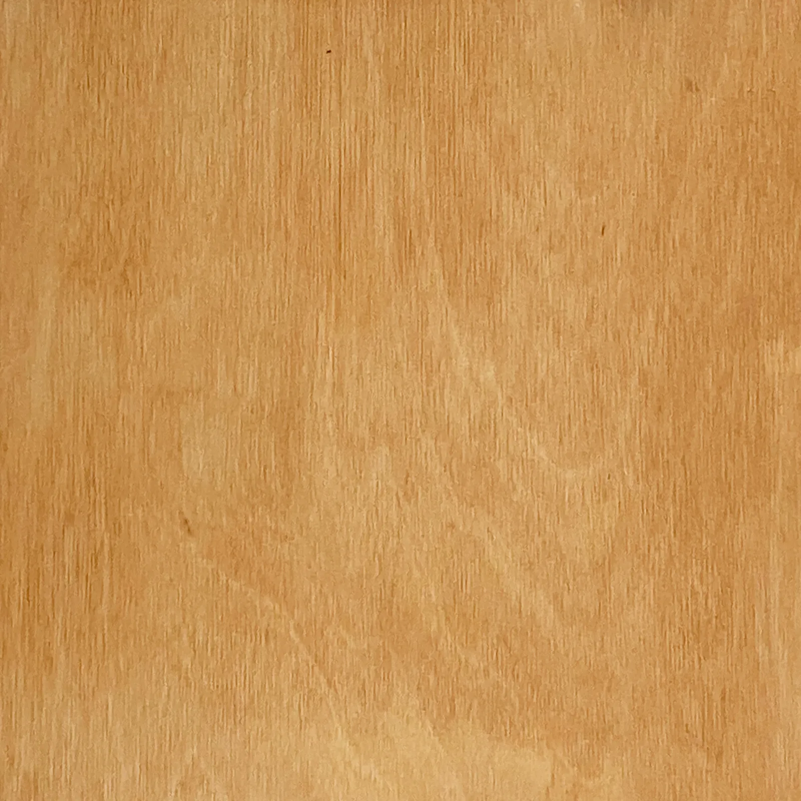 松木